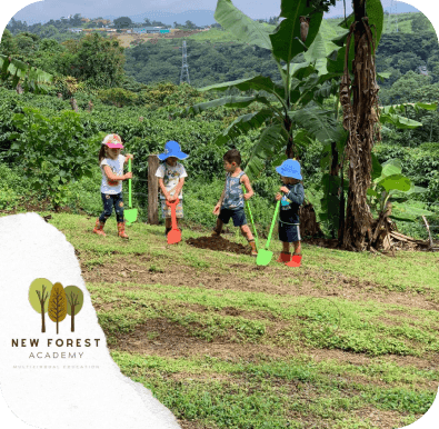 Plantar un árbol es más difícil de lo que parece